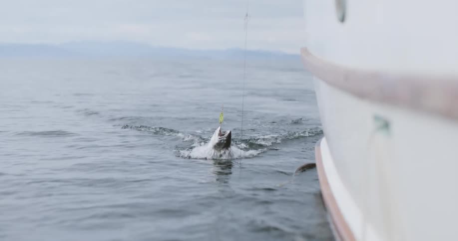 A clip of a fish being caught in the ocean