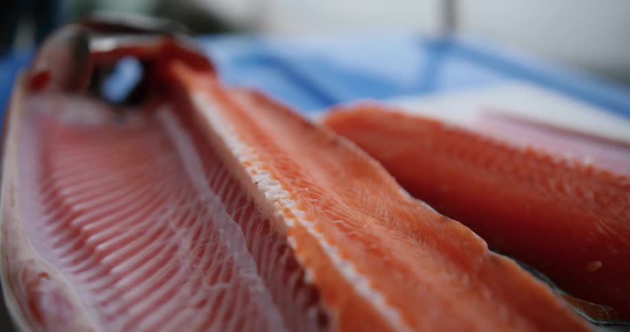 Fresh slices of salmon