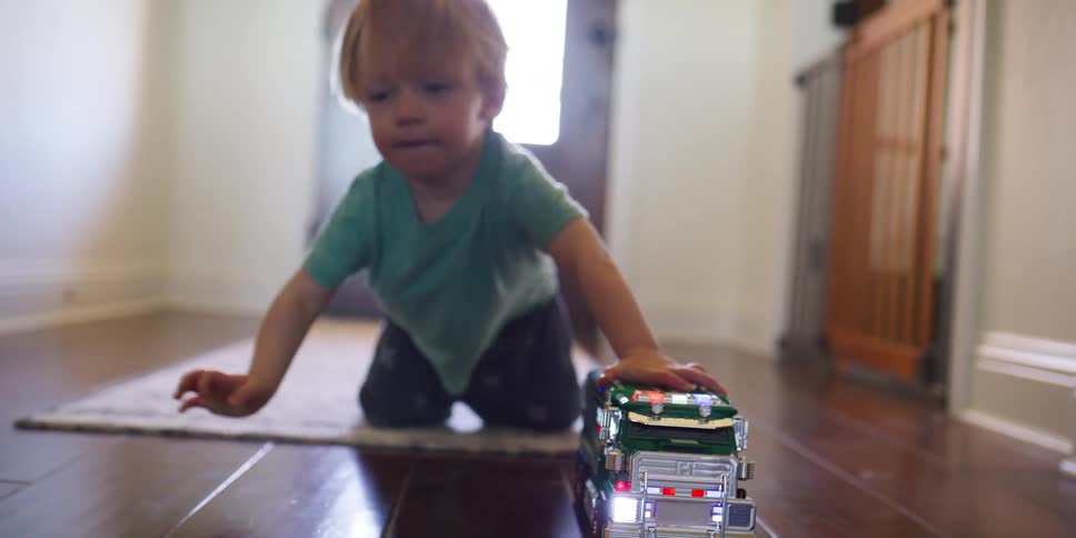 A child is playing with a toy truck with a large dog in the room