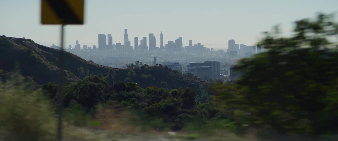 View of the forest with metropolitan city on the horizon