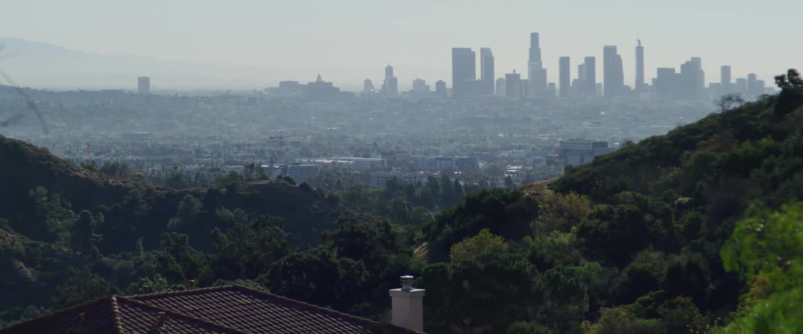 Panorama of the forest with the metropolitan city in the background
