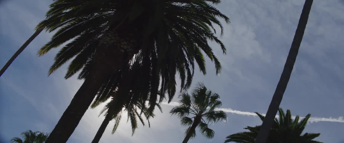 The sun shines brightly behind palm trees under a cloudy sky