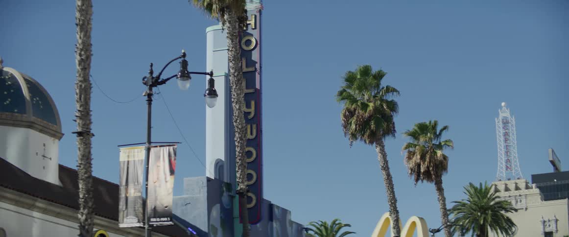 The city is filled with buildings and palm trees