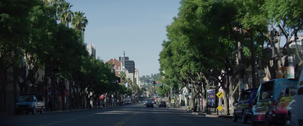 Pov driving down los angeles tree lined street during the day