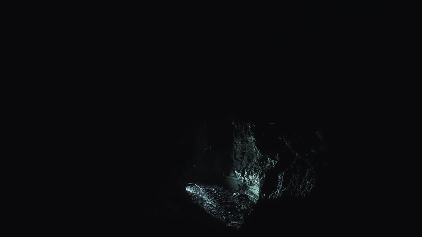 Headlights lighting up a dark area outside with rocks and trees