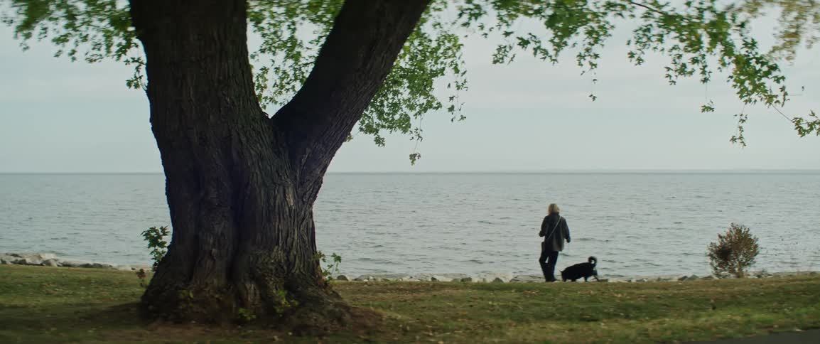 Woman walks her dog past a large oak tree and sits near the lake front