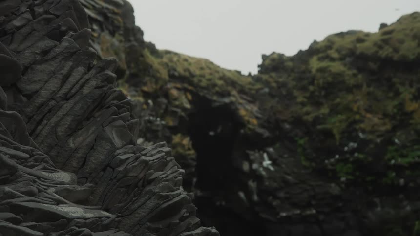 A grassy canyon with birds flying overhead