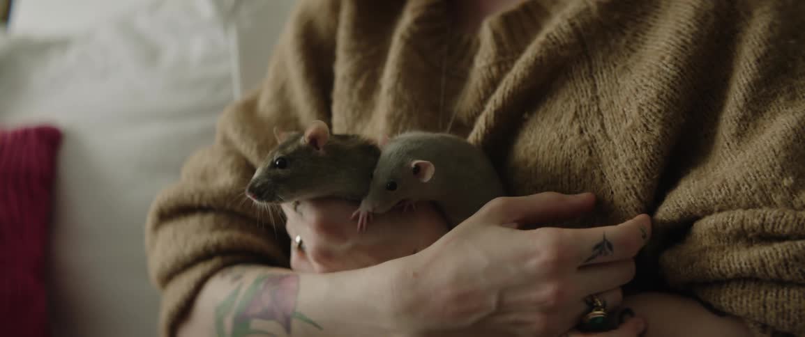 A woman is holding her two pet rats