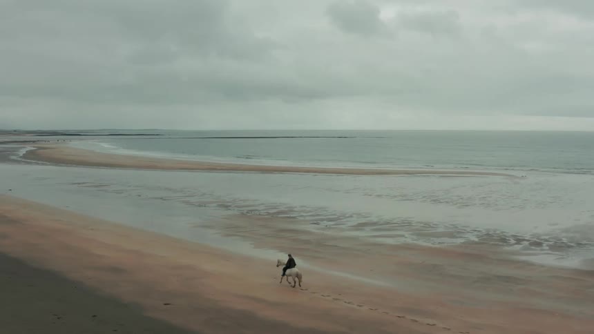 Aerial view of a person riding a horse next to the beach