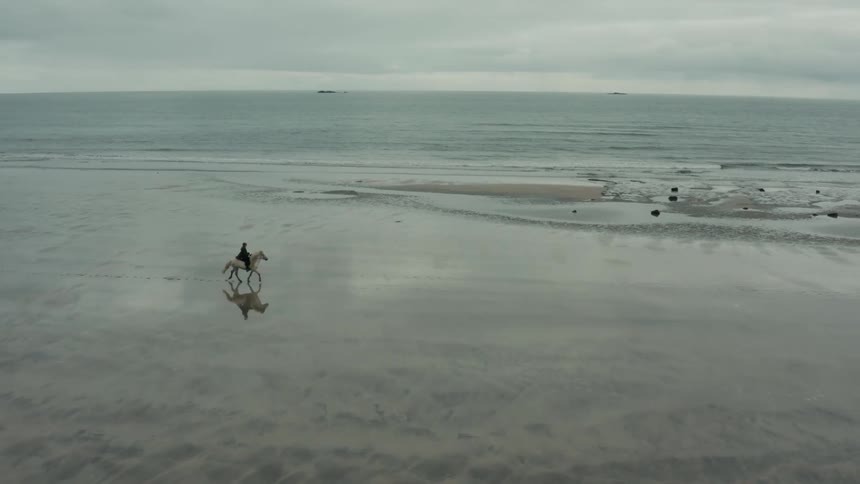 A person galloping on a horse in the coast