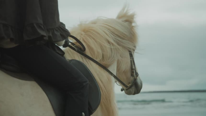 A person riding a horse along the beach