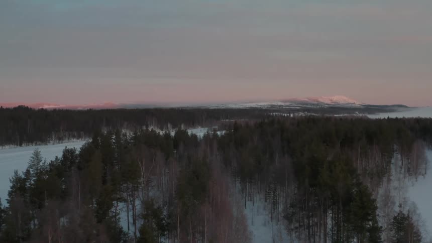 Aerial of pine forest covered in snow during sunset