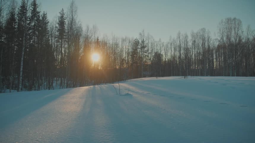 Snow covers the land in a deciduous forest at sunset