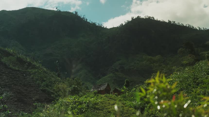 Lush vegetation on the slopes of a mountain