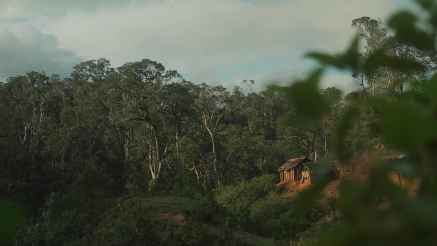 Landscape of a village and a green forest