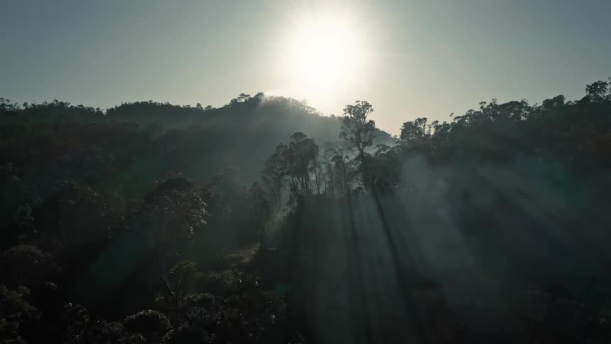 Sunlight lights the mist over the forest in the mountains