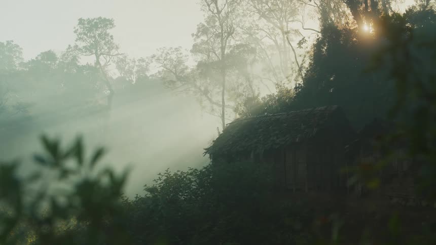 Wooden cabin in the midst of a forest