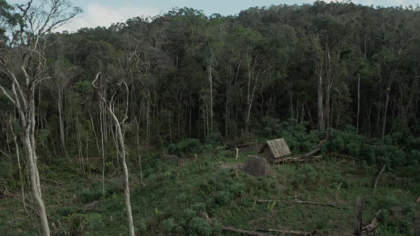 Aerial of a cabin in the middle of the forest