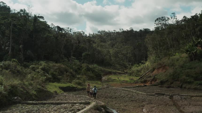 A group of people is hiking up a valley to a forest