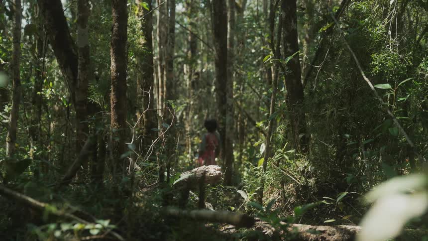 Woman in a red dress walking in the forest