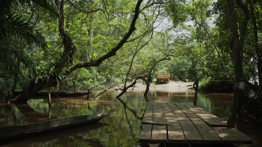 A lake surrounded by trees and flying butterflies