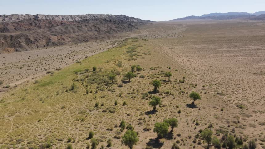 Aerial over light vegetation area in a desert valley surrounded by hills on a bright day