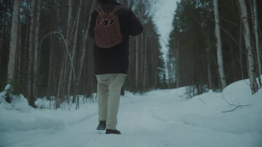 A person carrying a back pack while wearing cowboy hat is walking in a forest covered in snow