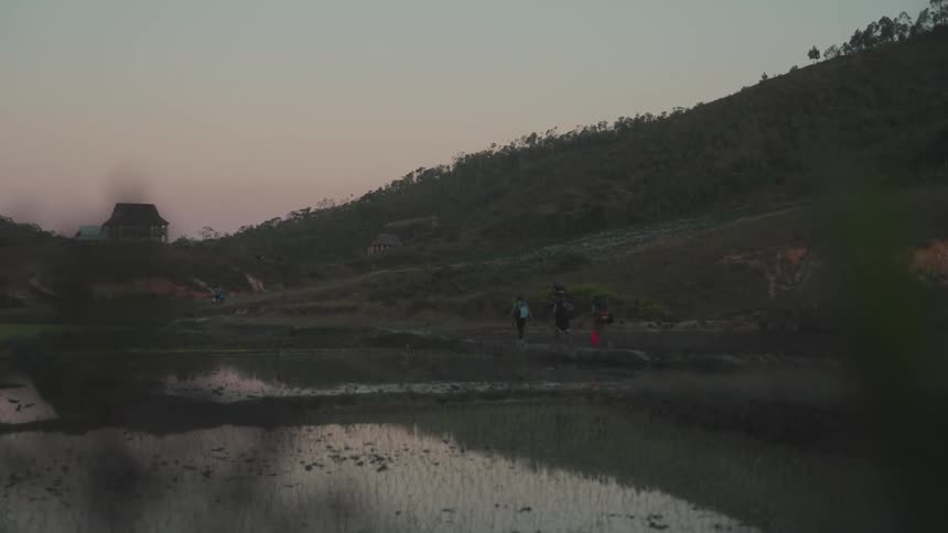 People walking alongside trails in the midst of nature