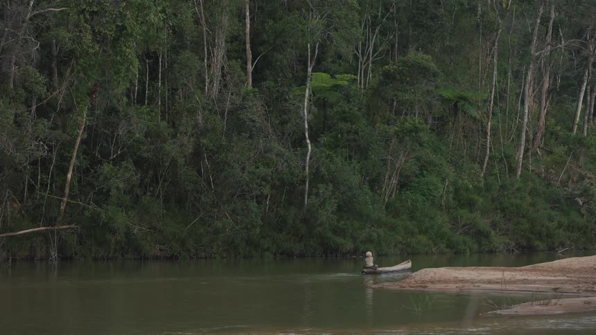 Person paddles small boat through river by rainforest