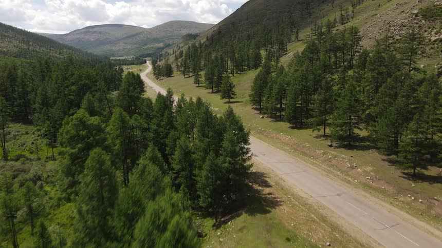 A car driving on a freeway with trees on each side of the road