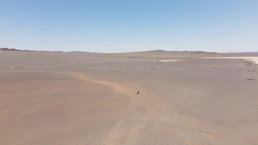 Aerial view of a camel running across a desert with a light blue sky in the background on a bright day