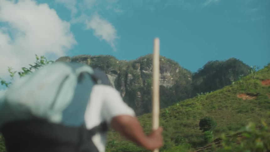 Hiker uses a staff to climb the slopes of a mountain