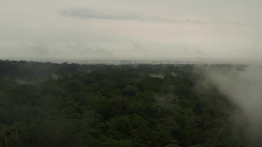 Aerial view of low clouds over the jungle