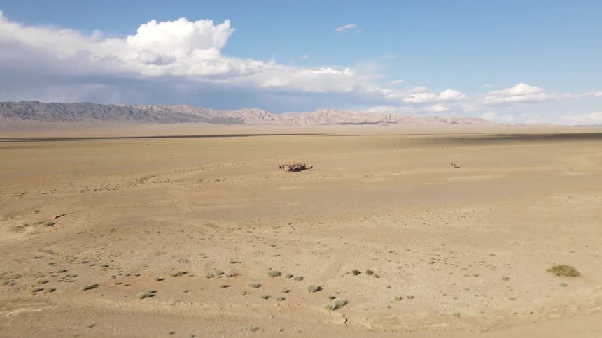 A herd of camels huddled together in the desert