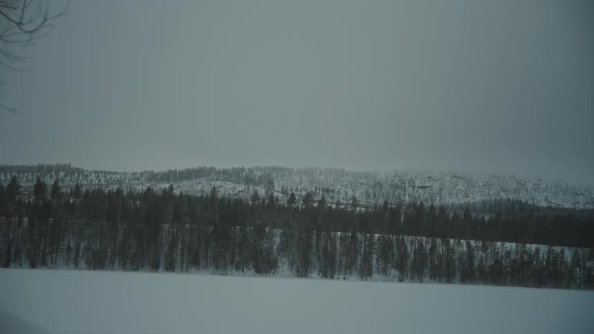 A hillside is covered with snow and evergreen trees on an overcast winter day