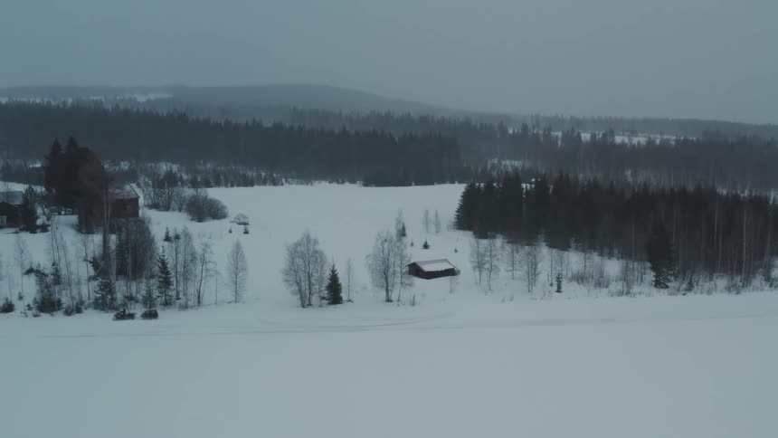 A person driving a snowmobile in the forest during a blizzard