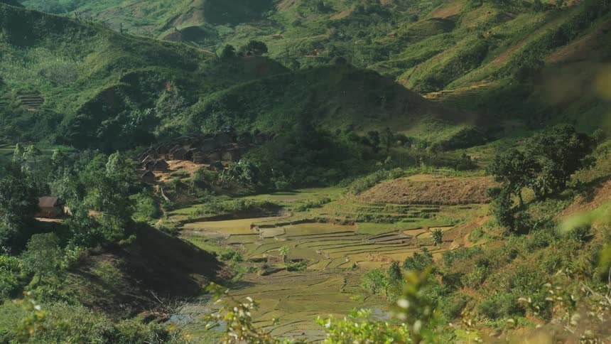 Rice fields sit in a valley with a single house surrounded by lush green hills on a bright day