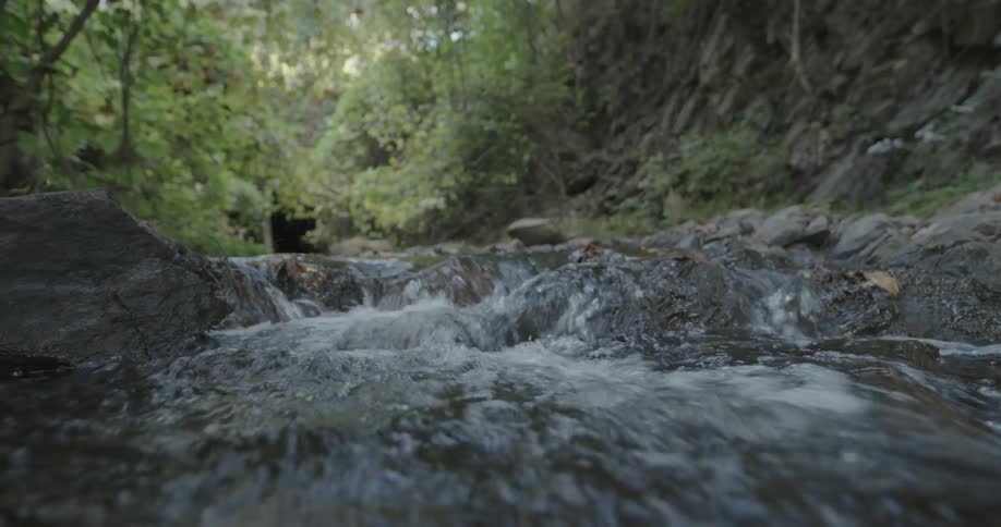 A clip of a flowing stream
