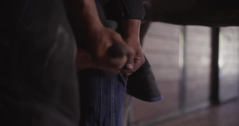 A farrier shoeing a horse inside a stable