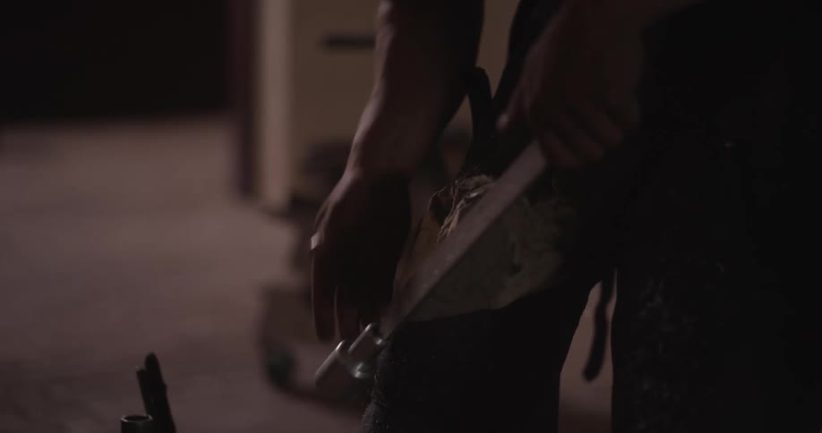 Farrier files down horses hoof with a metal rasp