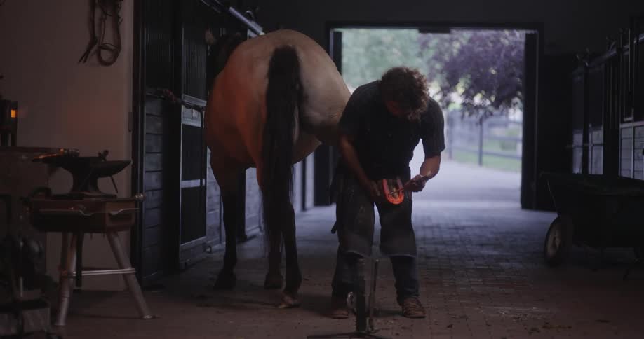 A farrier shoeing a horse inside a stable with an open door