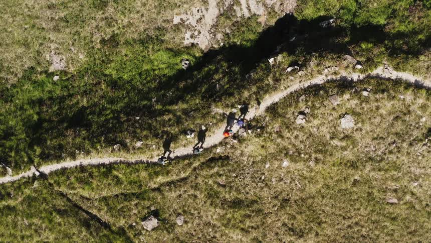 Mountaineers with a dog walk on a path
