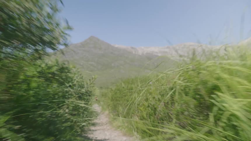 A trail in the meadow towards the mountains