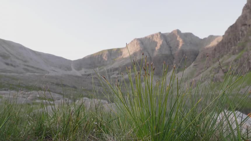 Green grass growing on a barren valley in the mountains