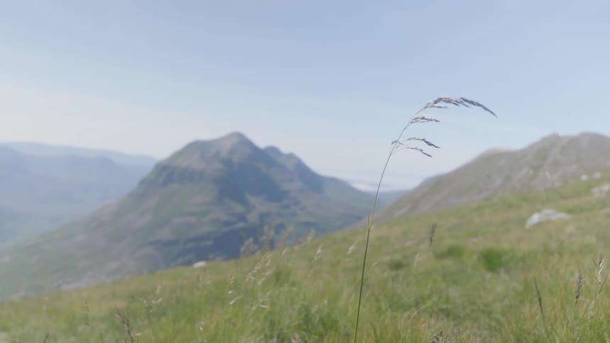 Grass blowing in the wind on the slopes of a mountain