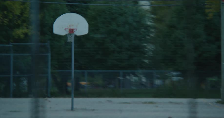 View of a basketball court with a hoop and vegetation around