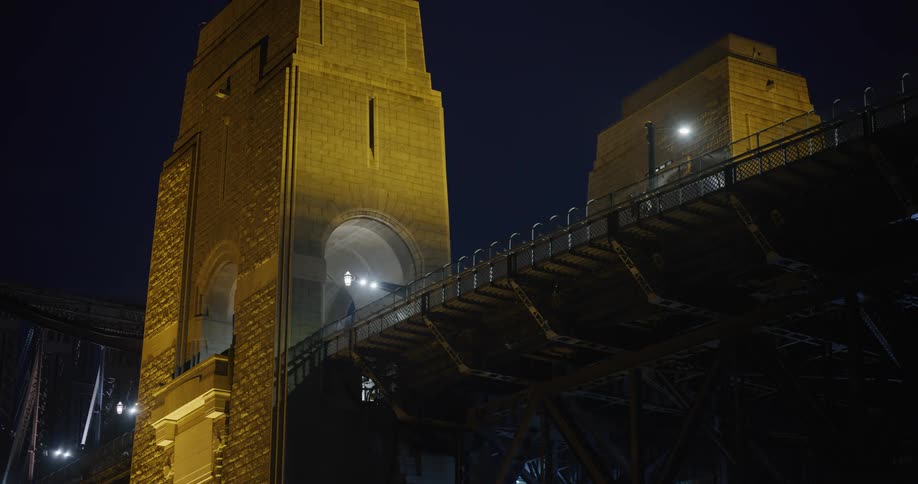 Suspension bridge towers against the night sky
