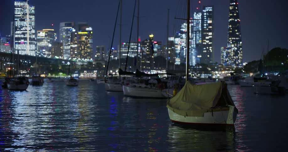 View of fishing boats at sea next to a metropolis with skyscrapers at night