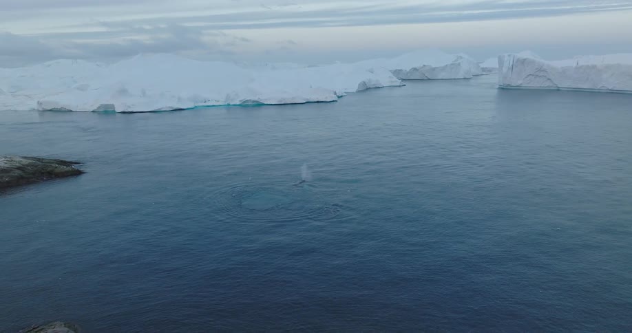 A body of water with melting polar ice caps covering half of it