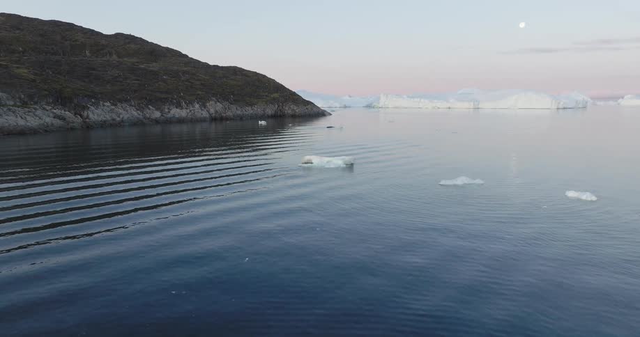 An arctic sea with iceberg near the coast